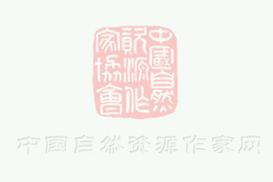 加盟洗護用品市場，佐泰品牌助您一臂之力
